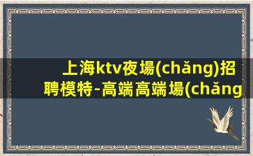 上海ktv夜場(chǎng)招聘模特-高端高端場(chǎng)日結(jié)1800起步