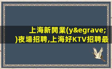 上海新開業(yè)夜場招聘,上海好KTV招聘最新信息,大量優(yōu)質(zhì)客源