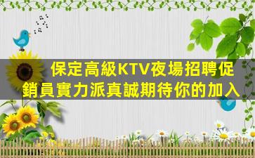 保定高級KTV夜場招聘促銷員實力派真誠期待你的加入