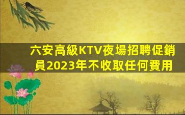 六安高級KTV夜場招聘促銷員2023年不收取任何費用