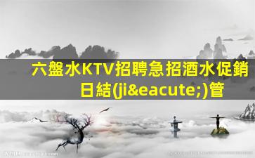 六盤水KTV招聘急招酒水促銷日結(jié)管