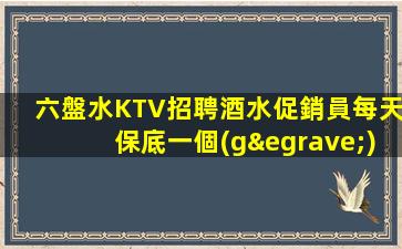六盤水KTV招聘酒水促銷員每天保底一個(gè)班體
