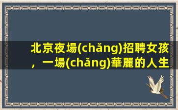 北京夜場(chǎng)招聘女孩，一場(chǎng)華麗的人生冒險(xiǎn)等你來(lái)挑戰(zhàn)！