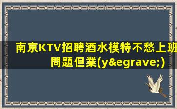 南京KTV招聘酒水模特不愁上班問題但業(yè)