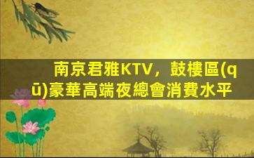南京君雅KTV，鼓樓區(qū)豪華高端夜總會消費水平