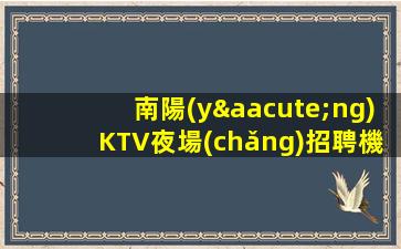 南陽(yáng)KTV夜場(chǎng)招聘機(jī)票和酒店都能管