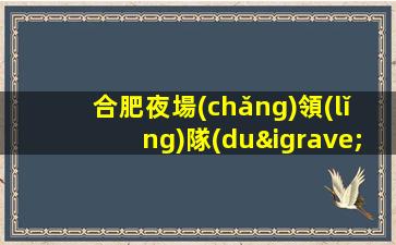 合肥夜場(chǎng)領(lǐng)隊(duì)招聘模特-新人必選的實(shí)力領(lǐng)隊(duì)