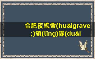 合肥夜總會(huì)領(lǐng)隊(duì)招聘直招來去自由無任務(wù)合肥