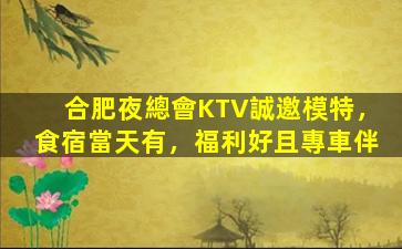 合肥夜總會KTV誠邀模特，食宿當天有，福利好且專車伴
