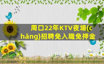 周口22年KTV夜場(chǎng)招聘免入職免押金