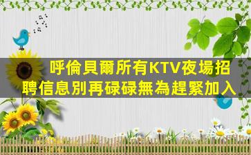 呼倫貝爾所有KTV夜場招聘信息別再碌碌無為趕緊加入