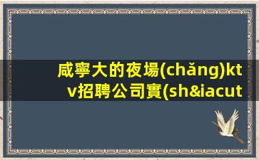 咸寧大的夜場(chǎng)ktv招聘公司實(shí)地觀摩