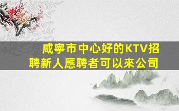 咸寧市中心好的KTV招聘新人應聘者可以來公司