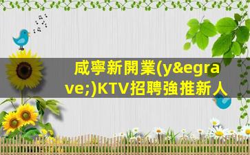 咸寧新開業(yè)KTV招聘強推新人