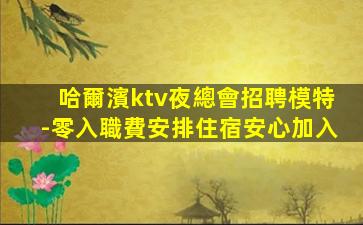 哈爾濱ktv夜總會招聘模特-零入職費安排住宿安心加入