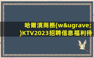哈爾濱商務(wù)KTV2023招聘信息福利待遇高