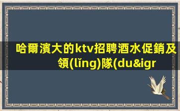 哈爾濱大的ktv招聘酒水促銷及領(lǐng)隊(duì)日結(jié)