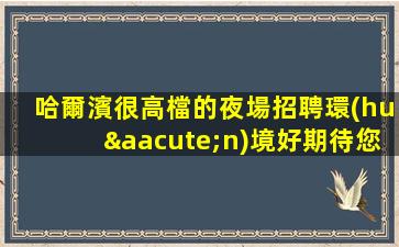 哈爾濱很高檔的夜場招聘環(huán)境好期待您的加入