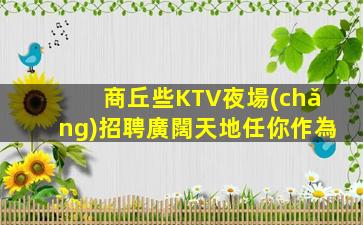 商丘些KTV夜場(chǎng)招聘廣闊天地任你作為