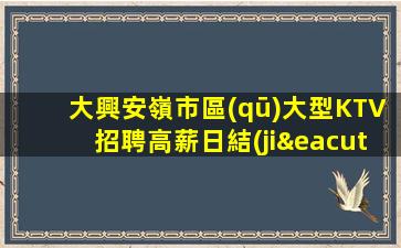 大興安嶺市區(qū)大型KTV招聘高薪日結(jié)包住宿