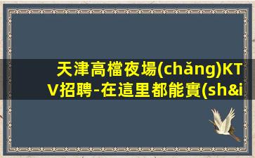 天津高檔夜場(chǎng)KTV招聘-在這里都能實(shí)現(xiàn)