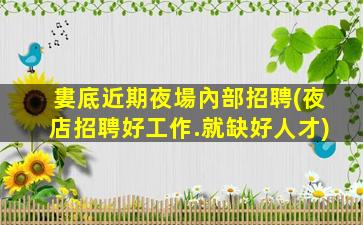 婁底近期夜場內部招聘(夜店招聘好工作.就缺好人才)