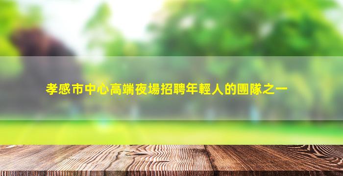 孝感市中心高端夜場招聘年輕人的團隊之一
