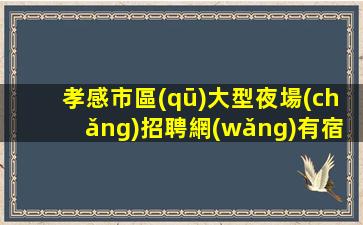 孝感市區(qū)大型夜場(chǎng)招聘網(wǎng)有宿舍可兼職人氣旺訂臺(tái)提成多