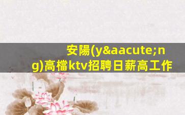 安陽(yáng)高檔ktv招聘日薪高工作