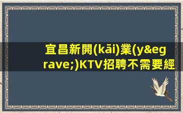宜昌新開(kāi)業(yè)KTV招聘不需要經(jīng)驗(yàn)
