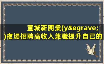 宣城新開業(yè)夜場招聘高收入兼職提升自已的舞臺