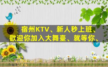 宿州KTV、新人秒上班、歡迎你加入大舞臺、就等你、