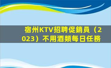 宿州KTV招聘促銷員（2023）不用酒類每日任務