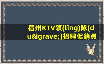 宿州KTV領(lǐng)隊(duì)招聘促銷員新人上班穩(wěn)定
