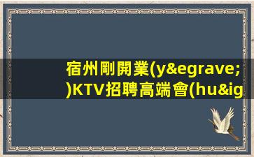 宿州剛開業(yè)KTV招聘高端會(huì)所公司直招