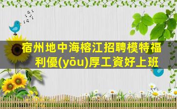 宿州地中海榕江招聘模特福利優(yōu)厚工資好上班