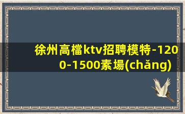 徐州高檔ktv招聘模特-1200-1500素場(chǎng)