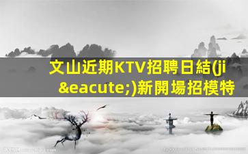 文山近期KTV招聘日結(jié)新開場招模特