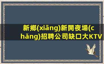 新鄉(xiāng)新開夜場(chǎng)招聘公司缺口大KTV不止米多事少