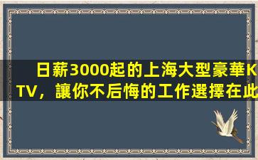 日薪3000起的上海大型豪華KTV，讓你不后悔的工作選擇在此