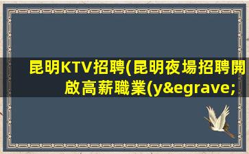 昆明KTV招聘(昆明夜場招聘開啟高薪職業(yè)的密碼)