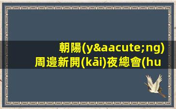 朝陽(yáng)周邊新開(kāi)夜總會(huì)招聘公司生意火爆高待遇