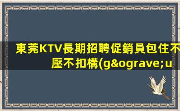東莞KTV長期招聘促銷員包住不壓不扣構(gòu)
