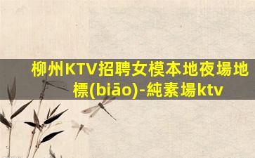 柳州KTV招聘女模本地夜場地標(biāo)-純素場ktv