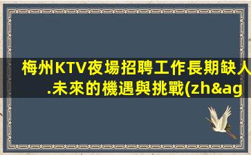 梅州KTV夜場招聘工作長期缺人.未來的機遇與挑戰(zhàn)
