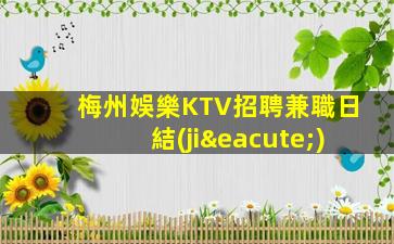 梅州娛樂KTV招聘兼職日結(jié)