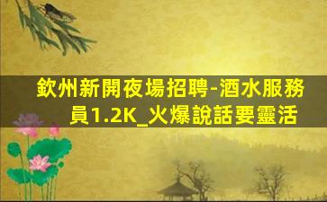欽州新開夜場招聘-酒水服務員1.2K_火爆說話要靈活