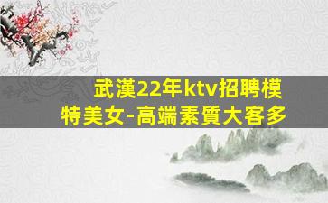 武漢22年ktv招聘模特美女-高端素質大客多