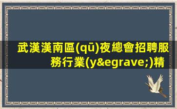 武漢漢南區(qū)夜總會招聘服務行業(yè)精英匯聚