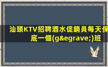 汕頭KTV招聘酒水促銷員每天保底一個(gè)班值